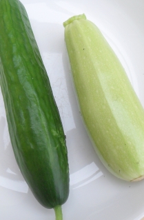 Some kind of cucumber and Trieste White courgette